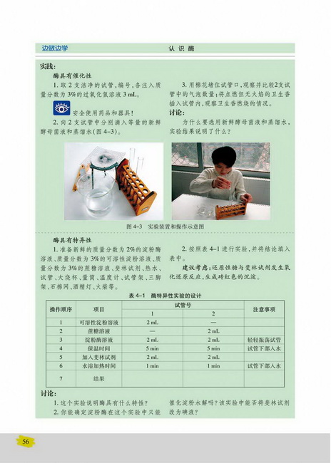 酶与酶促反应(第56页)