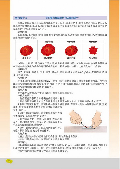 主动运输(第52页)