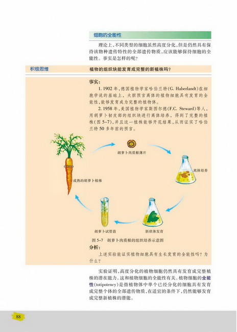 细胞的全能性(第88页)