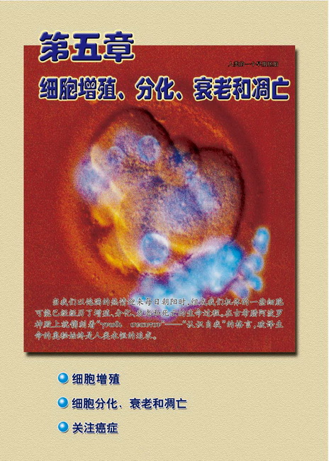 第五章 细胞增殖、分化、衰老和凋亡(第79页)