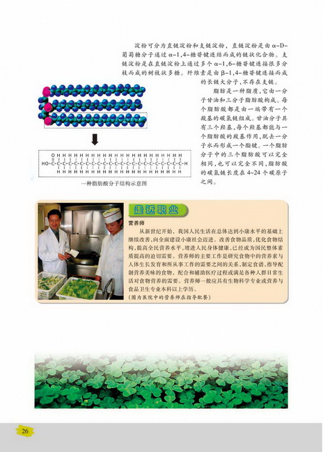 核酸的结构和功能(第26页)