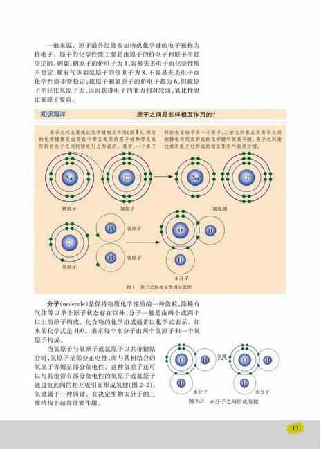 组成细胞的原子和分子(第13页)