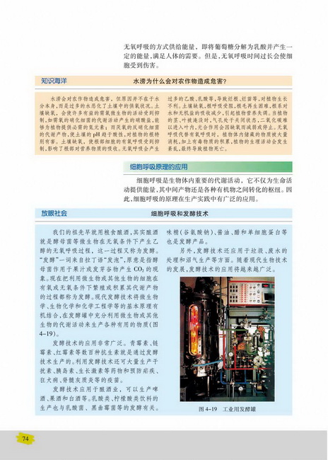 细胞呼吸原理的应用(第74页)