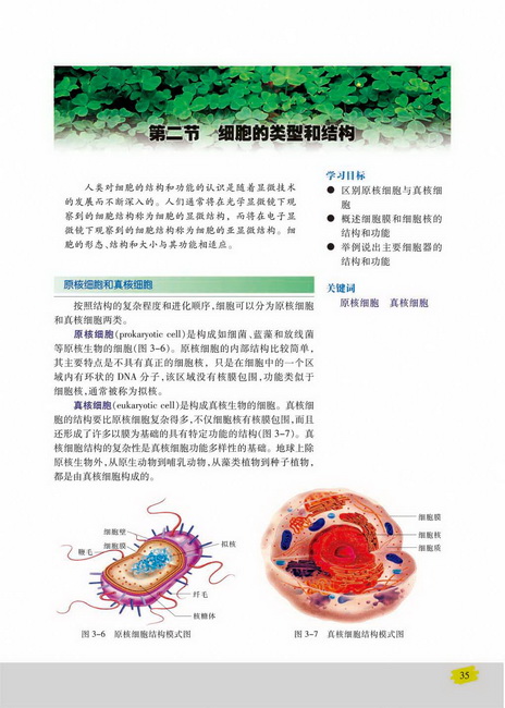 原核细胞和真核细胞(第35页)