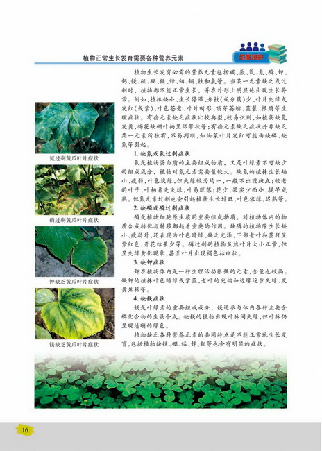 细胞中的无机化合物(第16页)