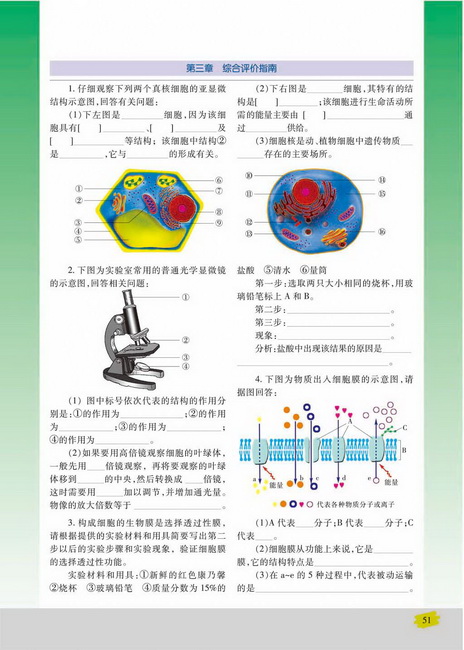 主动运输(第51页)
