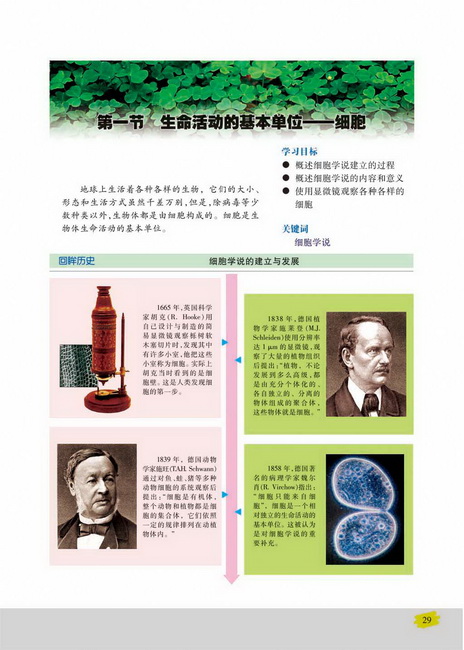 第一节 生命活动的基本单位――细胞”(第29页)