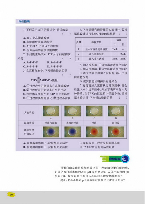 酶与酶促反应(第60页)