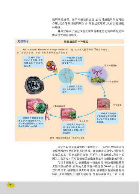 癌细胞的形成(第96页)