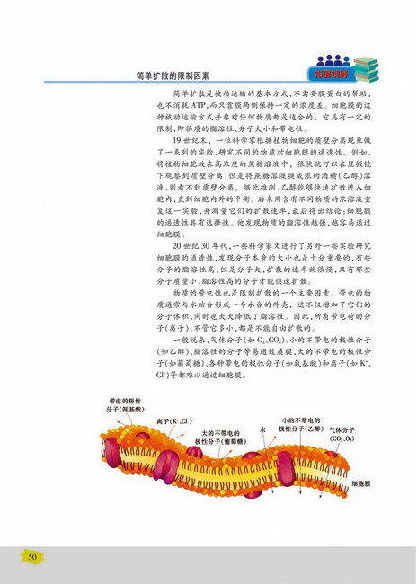 主动运输(第50页)