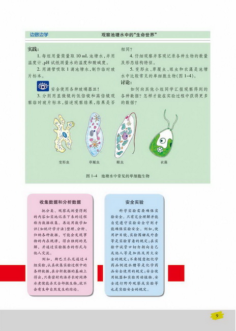 像科学家一样实验：科学实验(第9页)