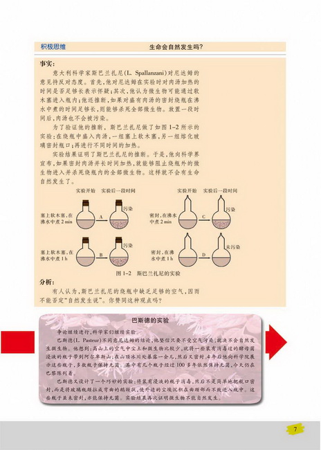 科学家不断实验：挑战“自然发生说”(第7页)