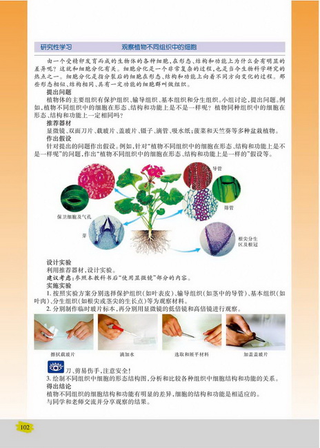 我国的癌症防治(第102页)