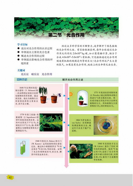 第二节 光合作用(第62页)
