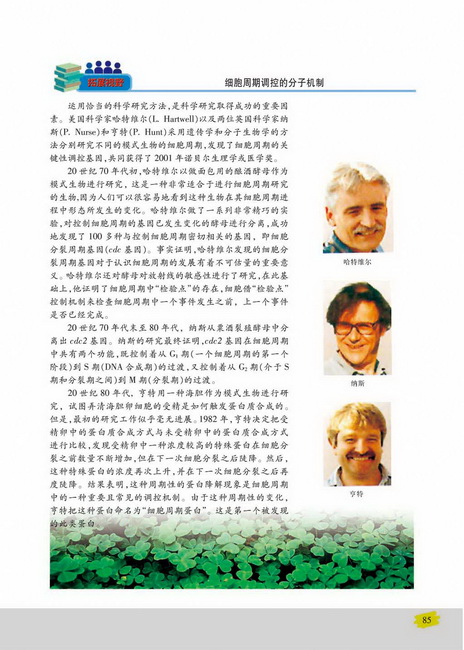 细胞周期与有丝分裂(第85页)