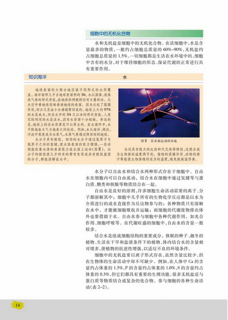 细胞中的无机化合物(第14页)