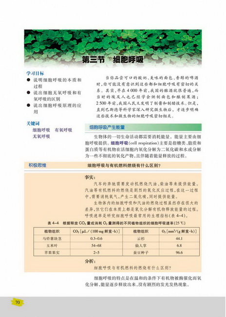 细胞呼吸产生能量(第70页)