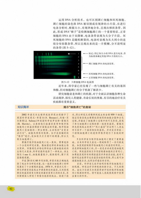 细胞衰老和凋亡(第92页)