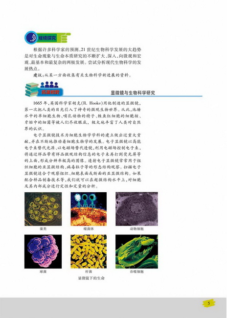 生物科学与社会：基因诊断和基因治疗(第5页)