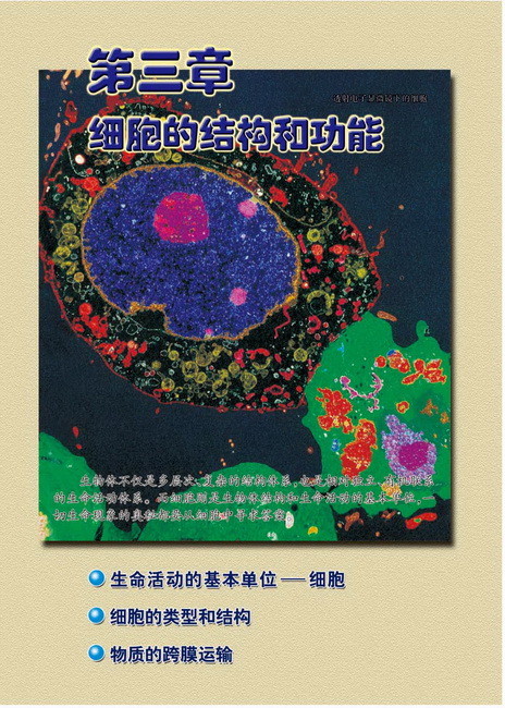 第三章 细胞的结构和功能(第28页)