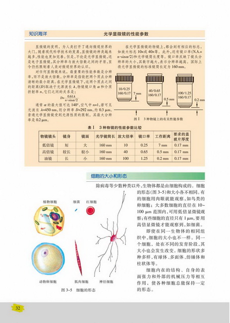 细胞的大小和形态(第32页)