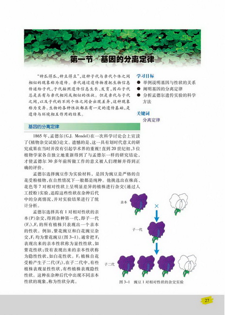 第一节 基因的分离定律(第27页)