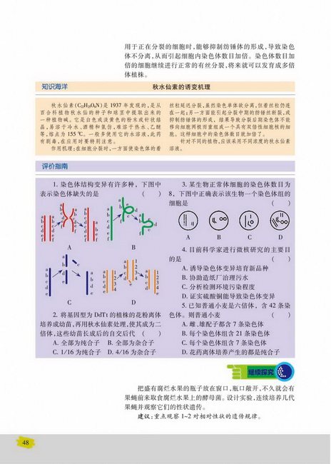 染色体变异在育种上的应用(第48页)
