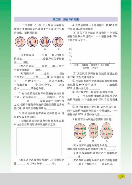 有性生殖(第25页)