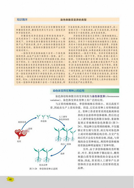 染色体变异在育种上的应用(第46页)