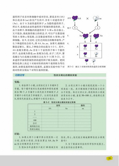第一节 基因的分离定律(第29页)