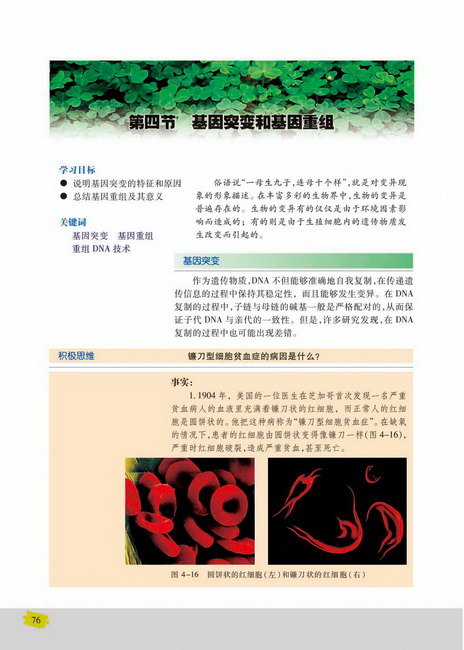 第四节 基因突变和基因重组(第76页)