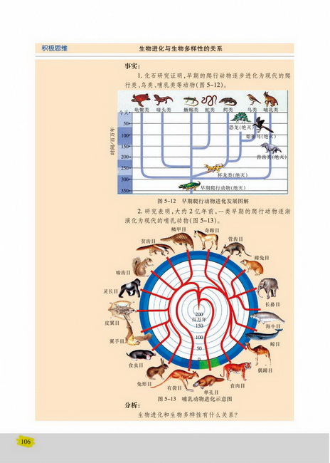 生物进化的基本历程生物进化与生物多样性的形成(第106页)