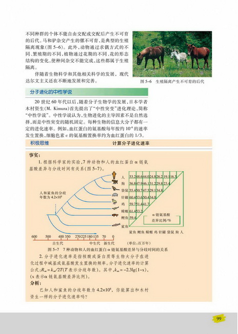 分子进化的中性学说(第99页)