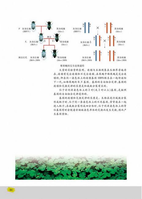 重组DNA技术(第84页)