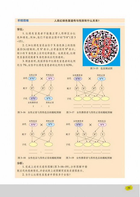 性别决定和伴性遗传(第39页)