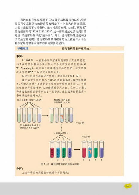 第三节 基因控制蛋白质的合成(第69页)