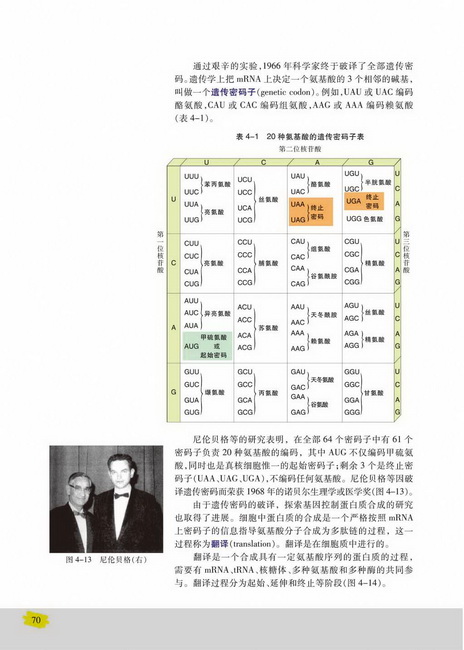 第三节 基因控制蛋白质的合成(第70页)