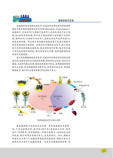 有性生殖(第23页)