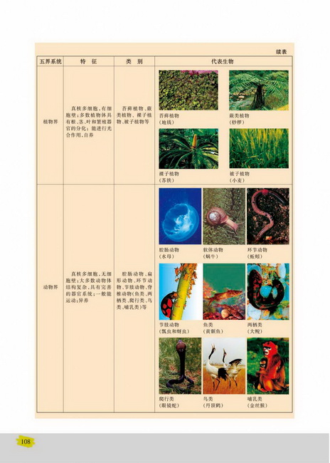 生物进化的基本历程生物进化与生物多样性的形成(第108页)