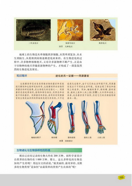 生物进化的基本历程生物进化与生物多样性的形成(第105页)