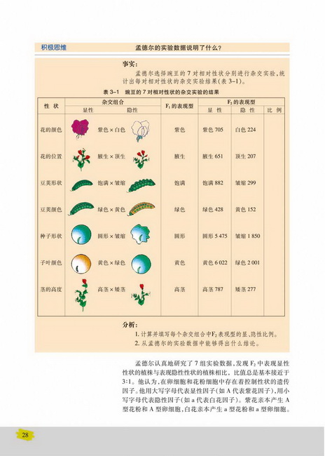 第一节 基因的分离定律(第28页)