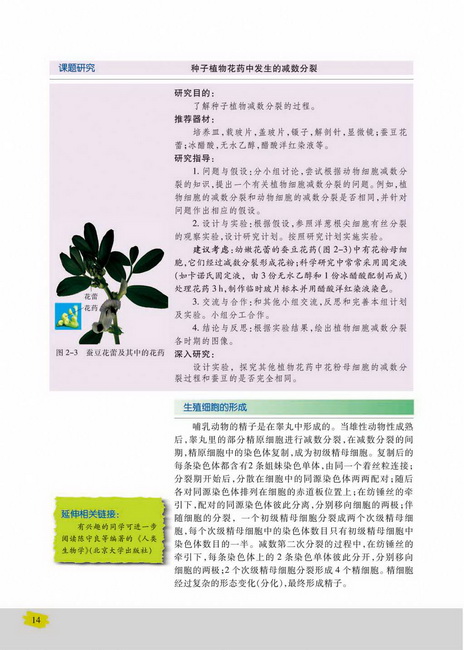 生殖细胞的形成(第14页)