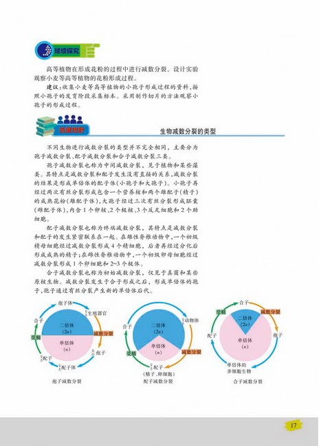 生殖细胞的形成(第17页)