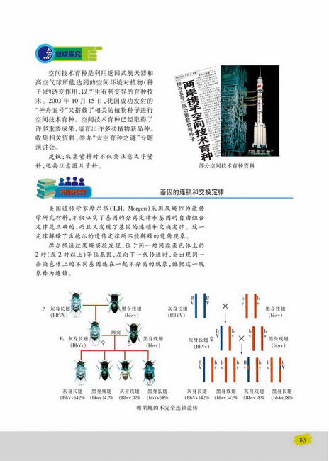 重组DNA技术(第83页)
