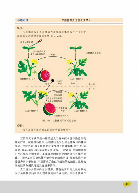 染色体变异在育种上的应用(第47页)