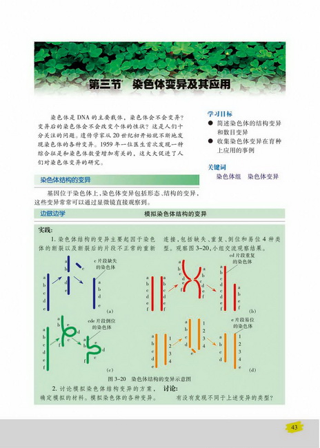 第三节 染色体变异及其应用(第43页)