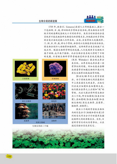 生物进化的基本历程生物进化与生物多样性的形成(第110页)