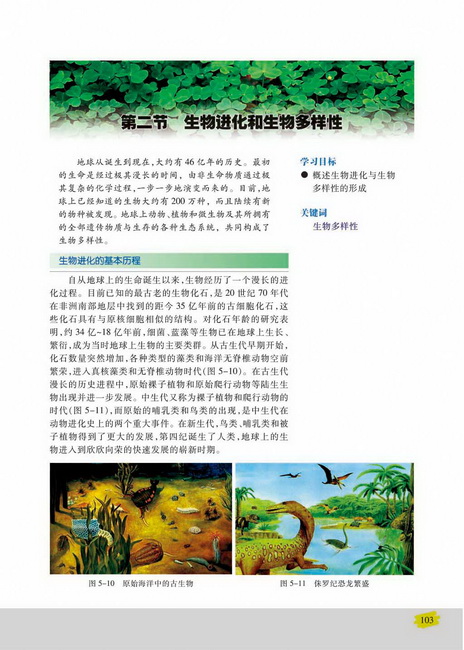 第二节 生物进化和生物多样性(第103页)