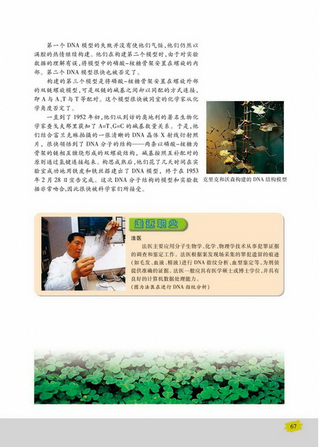 DNA的复制(第67页)