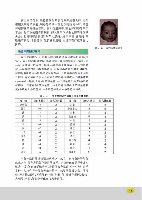 染色体数目的变异(第45页)